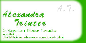 alexandra trinter business card